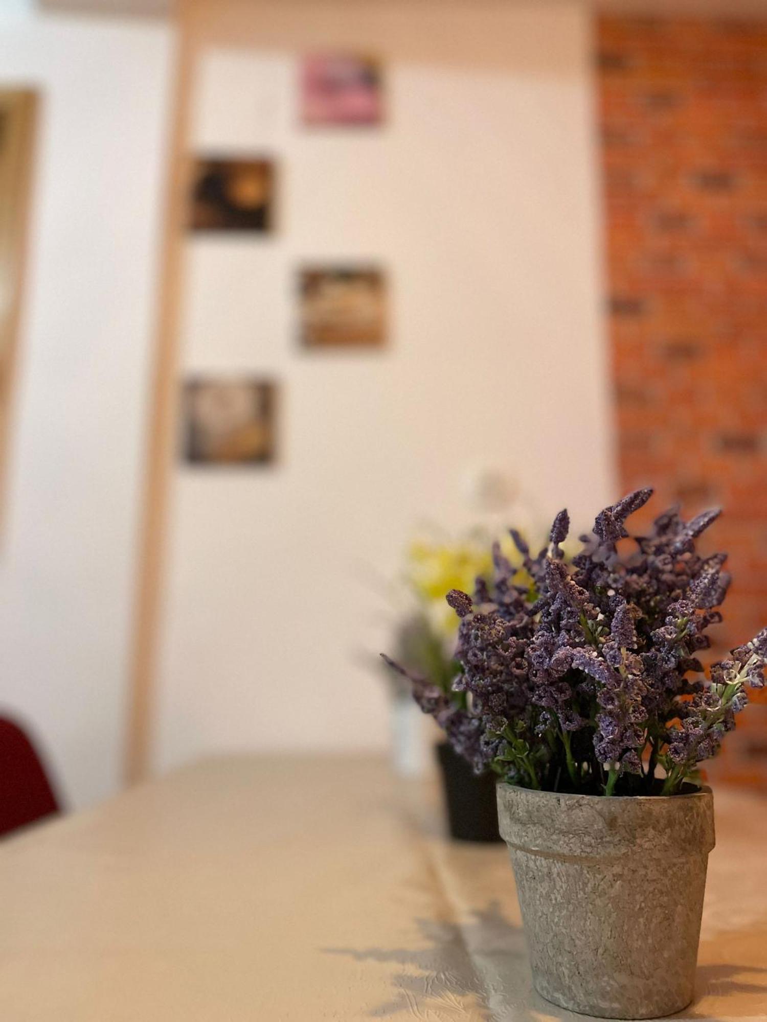 Mossapartments บูคาเรสต์ ภายนอก รูปภาพ